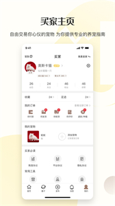 集寵區(qū)