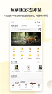 集寵區(qū)截圖