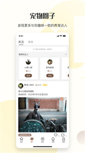 集寵區(qū)截圖