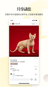 集寵區(qū)截圖