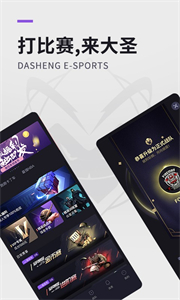 DSPORT截圖