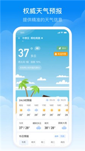 实时当地天气预报