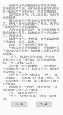 蜂鳥閱讀截圖