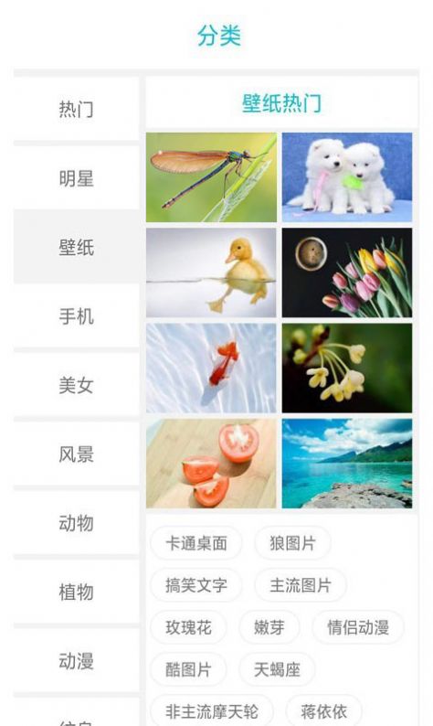 搜圖界截圖