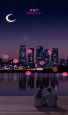 夜知心交友截图