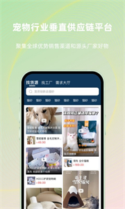 寵資鏈