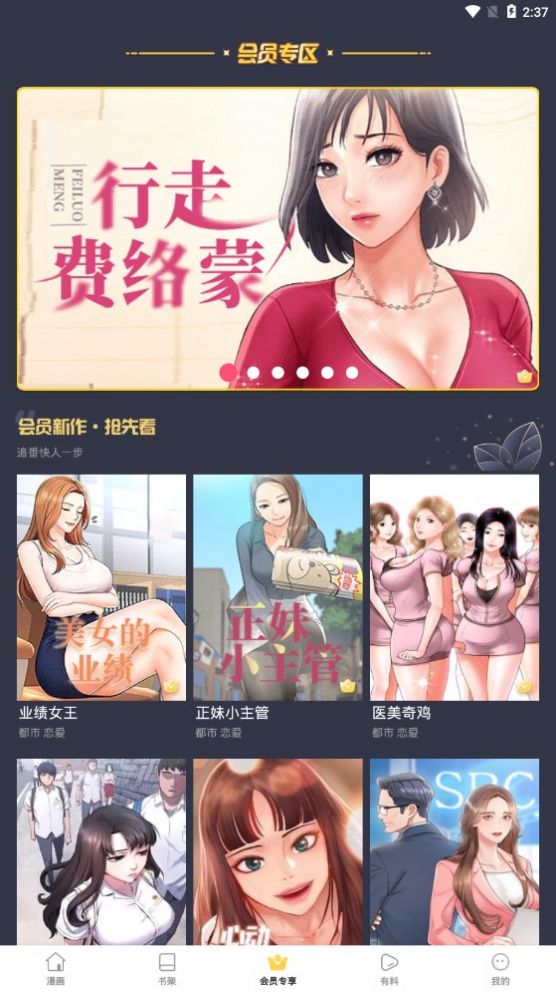 流星集截圖