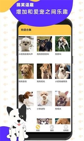 貓狗翻譯神器截圖