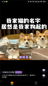 聚米寶