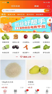 丁丁易購