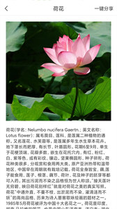 拍照识物全能王截图