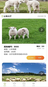 養(yǎng)羊得益