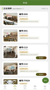 養(yǎng)羊得益截圖