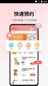 多仔寵物截圖