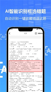 AI作業(yè)試卷助手截圖