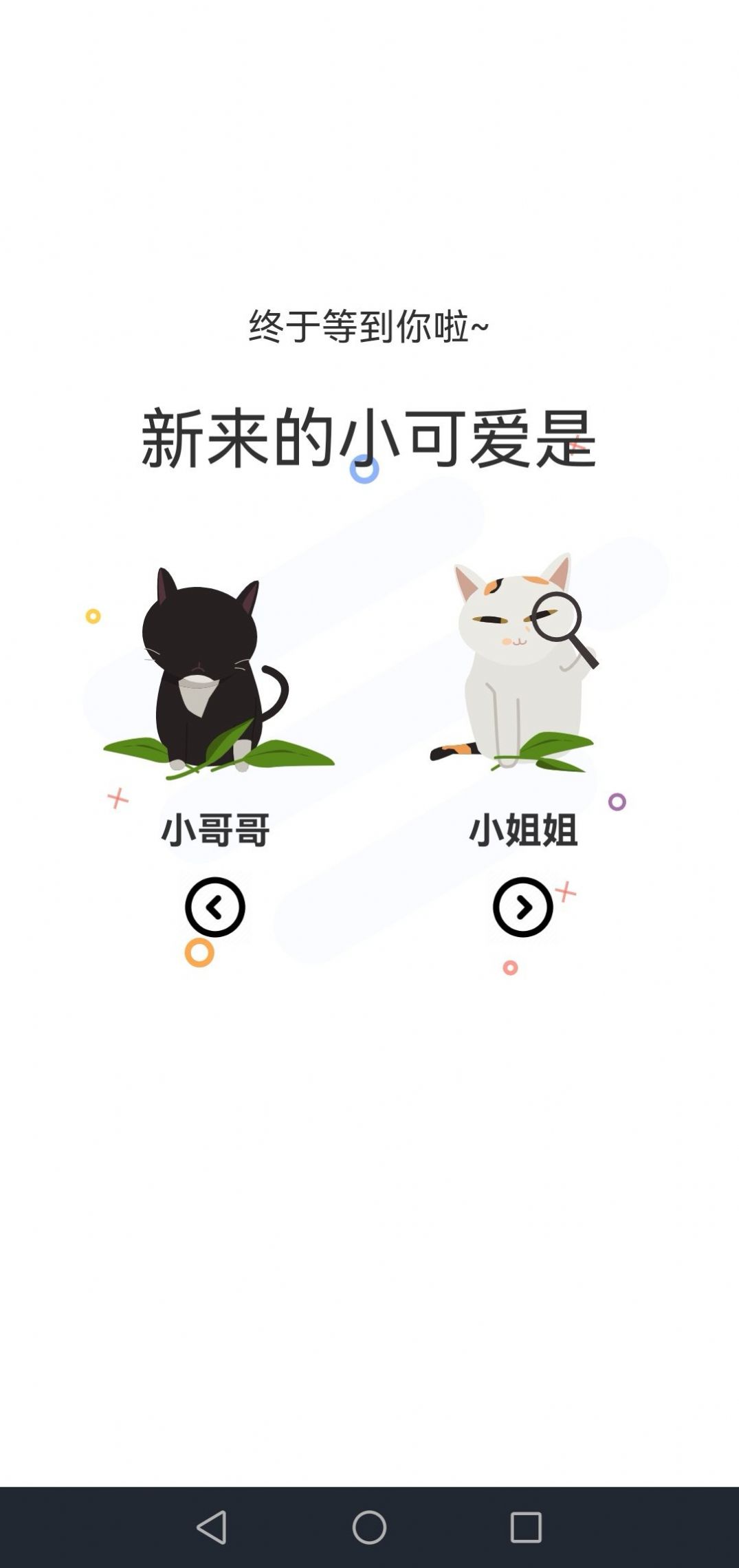 喵上動(dòng)漫截圖