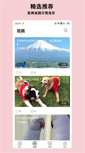 淘圖安卓版
