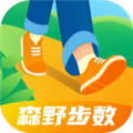 森野步數(shù)