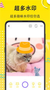 寵物動漫相機app