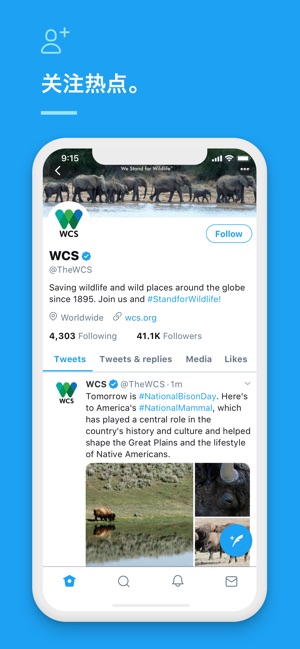 twitter 正版截圖