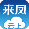云上來鳳