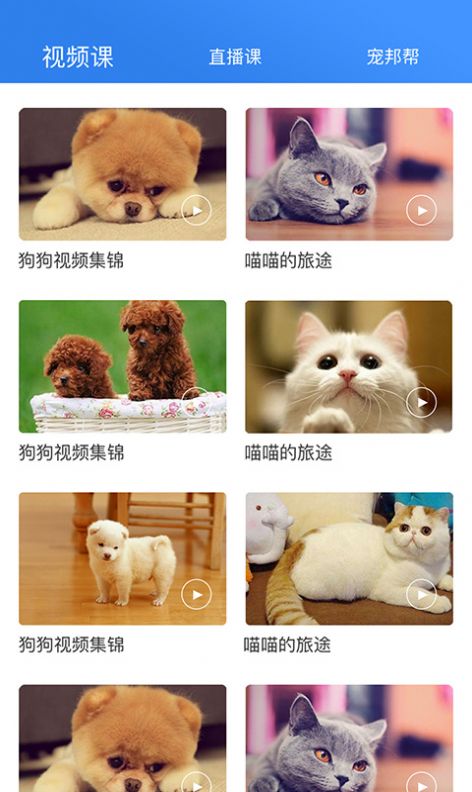 寵幫邦截圖