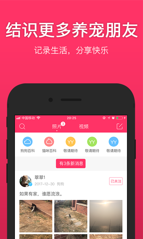 養(yǎng)養(yǎng)寵物截圖