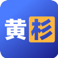 黃杉駕考