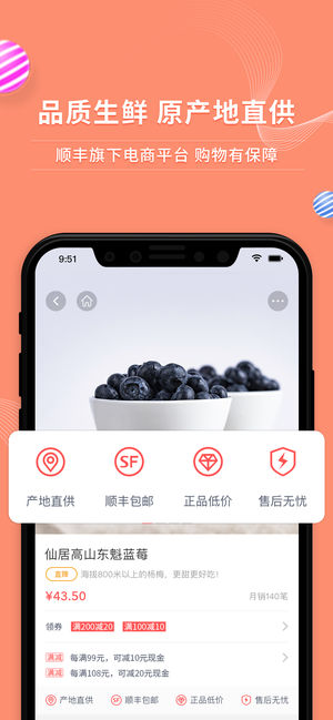 順豐大當(dāng)家截圖