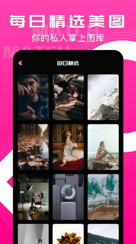 小鳥主題壁紙官方版