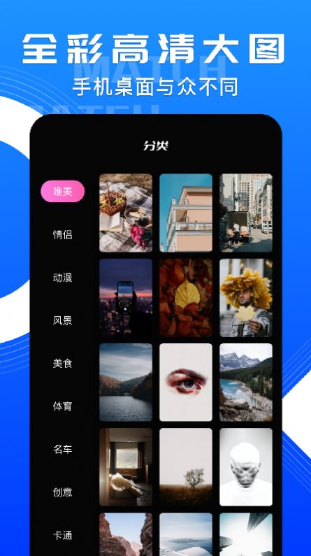 小鳥主題壁紙官方版截圖