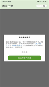春天小說截圖
