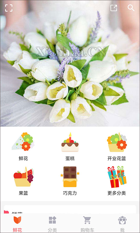 鮮花網(wǎng)