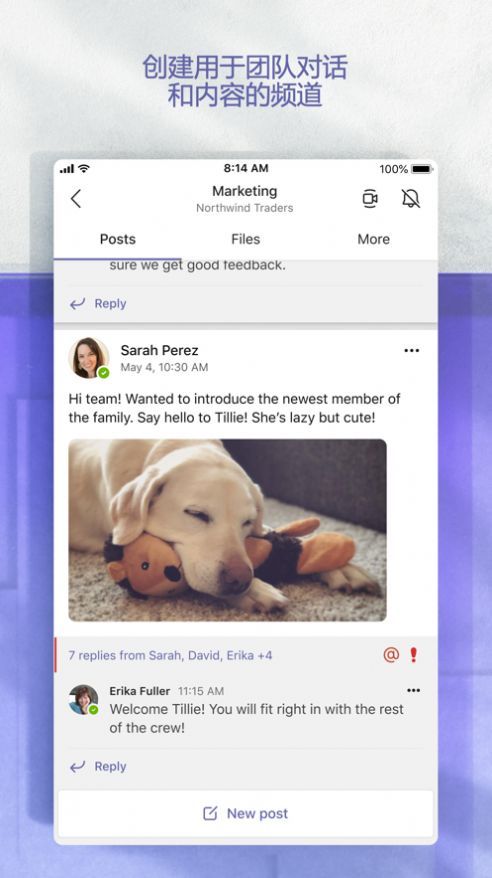 MicrosoftTeams