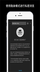 谷歌瀏覽器手機版截圖
