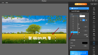 Fotor安卓