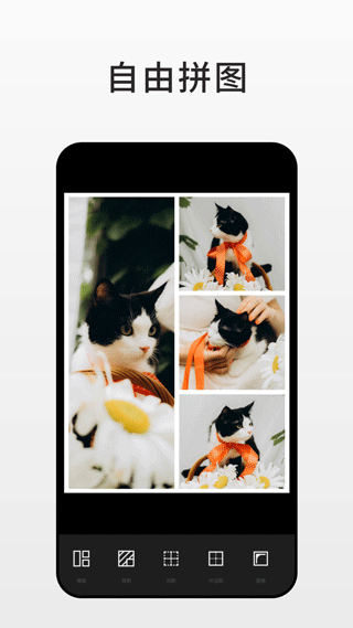 Fotor圖片編輯器