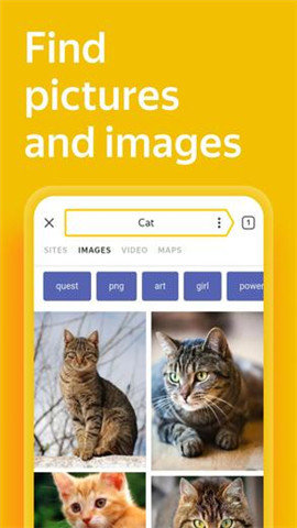俄羅斯引擎yandex