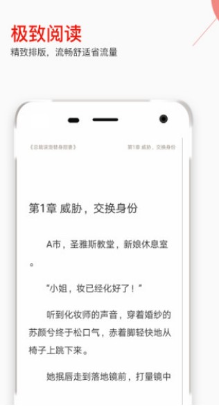 掌端小說軟件