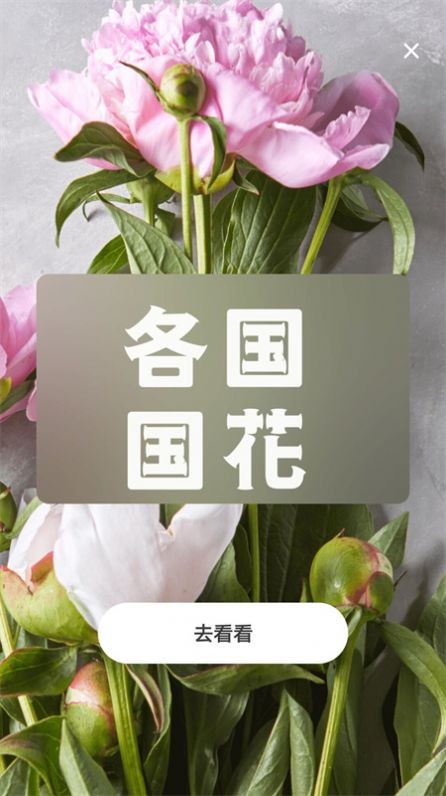 照片轉(zhuǎn)動(dòng)漫軟件