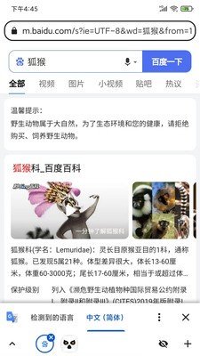 狐猴瀏覽器