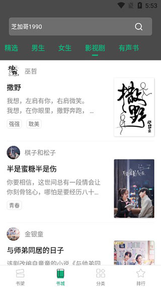 連閱小說(shuō)