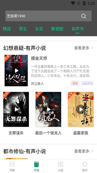 連閱小說(shuō)