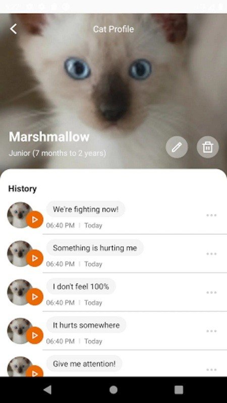 meowtalk中文版