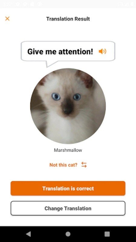 meowtalk中文版