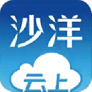 云上沙洋2023版