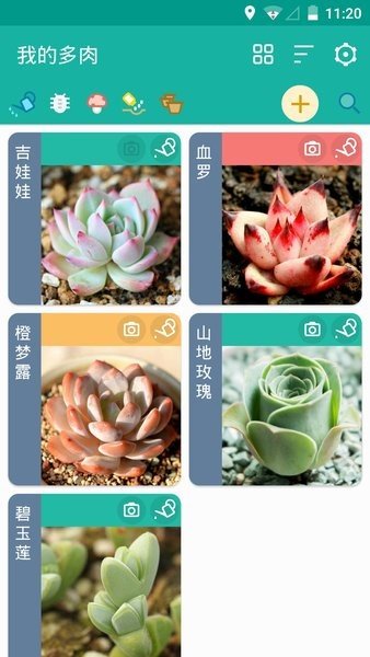 多肉成長(zhǎng)記