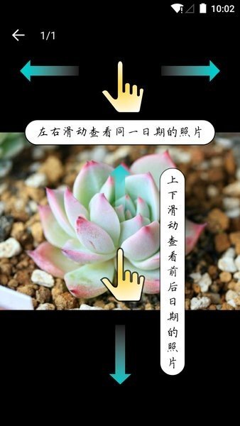 多肉成長(zhǎng)記