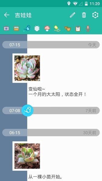 多肉成長(zhǎng)記