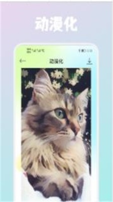 Wink畫質(zhì)修復(fù)